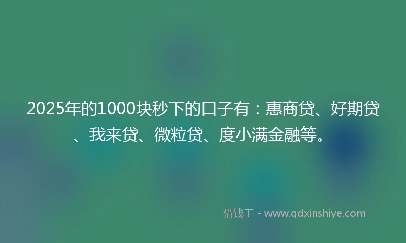 2025年的1000块秒下的口子有：惠商贷、好期贷、我来贷、微粒贷、度小满金融等。