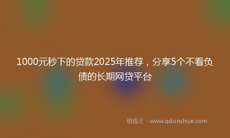 1000元秒下的贷款2025年推荐，分享5个不看负债的长期网贷平台