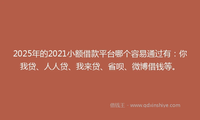 2025年的2021小额借款平台哪个容易通过有：你我贷、人人贷、我来贷、省呗、微博借钱等。