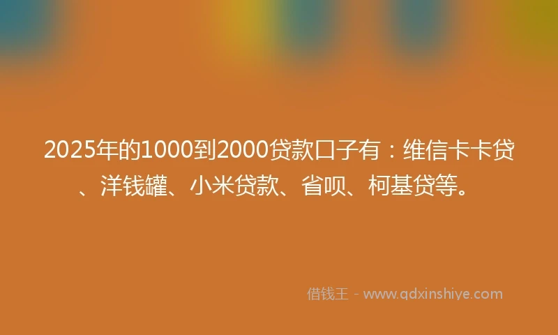 2025年的1000到2000贷款口子有：维信卡卡贷、洋钱罐、小米贷款、省呗、柯基贷等。