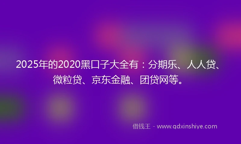 2025年的2020黑口子大全有：分期乐、人人贷、微粒贷、京东金融、团贷网等。