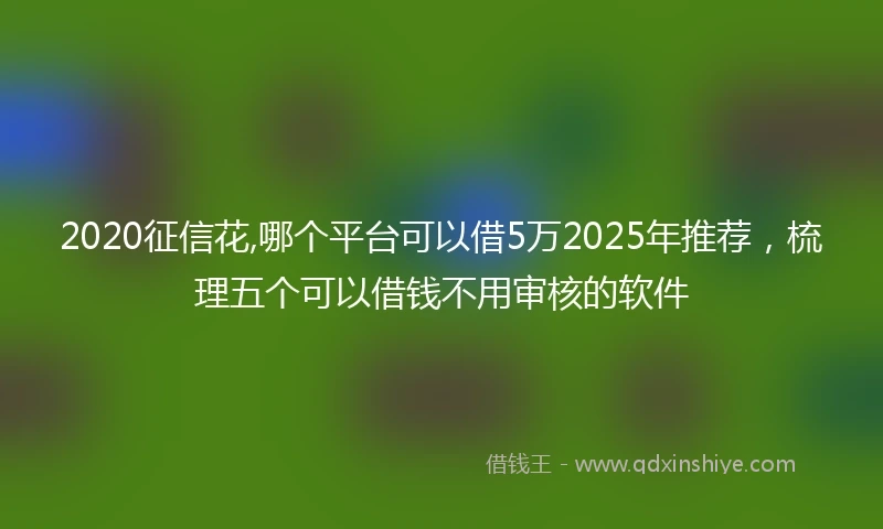 2020征信花,哪个平台可以借5万2025年推荐，梳理五个可以借钱不用审核的软件