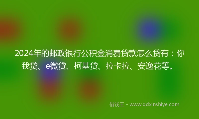 2024年的邮政银行公积金消费贷款怎么贷有：你我贷、e微贷、柯基贷、拉卡拉、安逸花等。