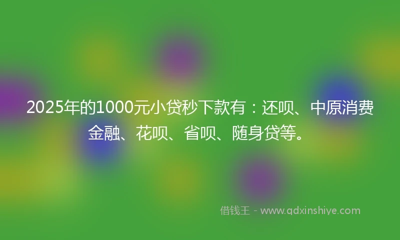 2025年的1000元小贷秒下款有：还呗、中原消费金融、花呗、省呗、随身贷等。