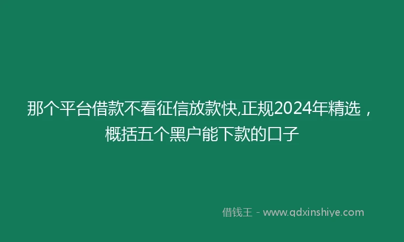 那个平台借款不看征信放款快,正规2024年精选，概括五个黑户能下款的口子
