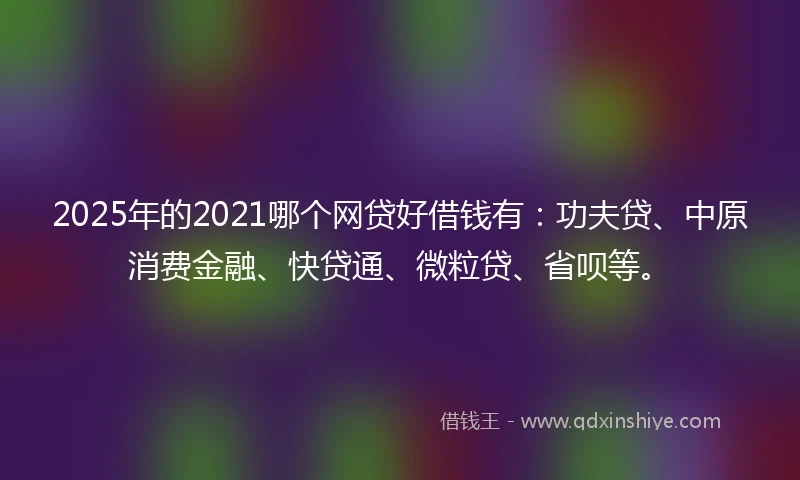 2025年的2021哪个网贷好借钱有：功夫贷、中原消费金融、快贷通、微粒贷、省呗等。