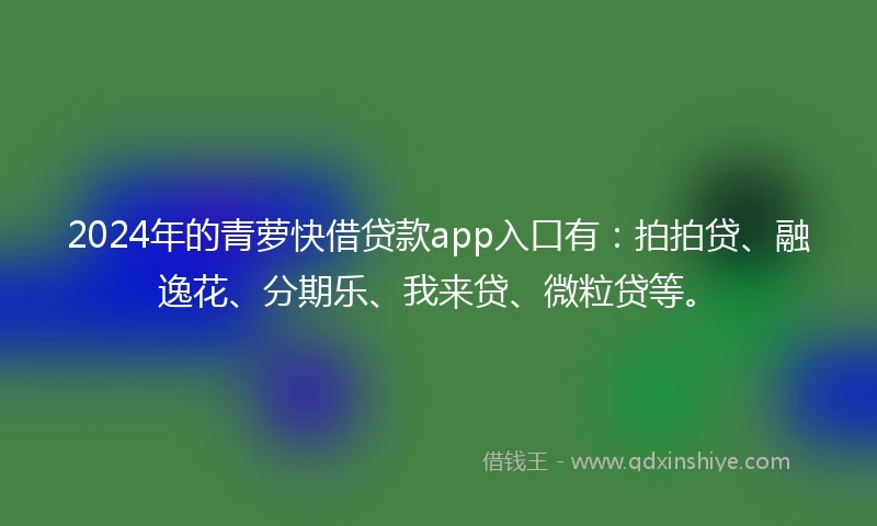 2024年的青萝快借贷款app入口有：拍拍贷、融逸花、分期乐、我来贷、微粒贷等。