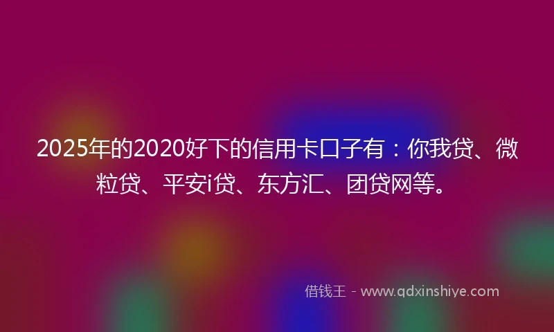 2025年的2020好下的信用卡口子有：你我贷、微粒贷、平安i贷、东方汇、团贷网等。