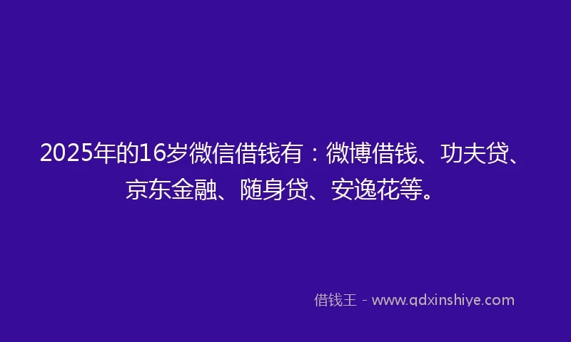 2025年的16岁微信借钱有：微博借钱、功夫贷、京东金融、随身贷、安逸花等。