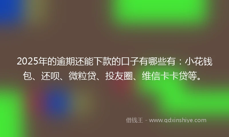 2025年的逾期还能下款的口子有哪些有：小花钱包、还呗、微粒贷、投友圈、维信卡卡贷等。