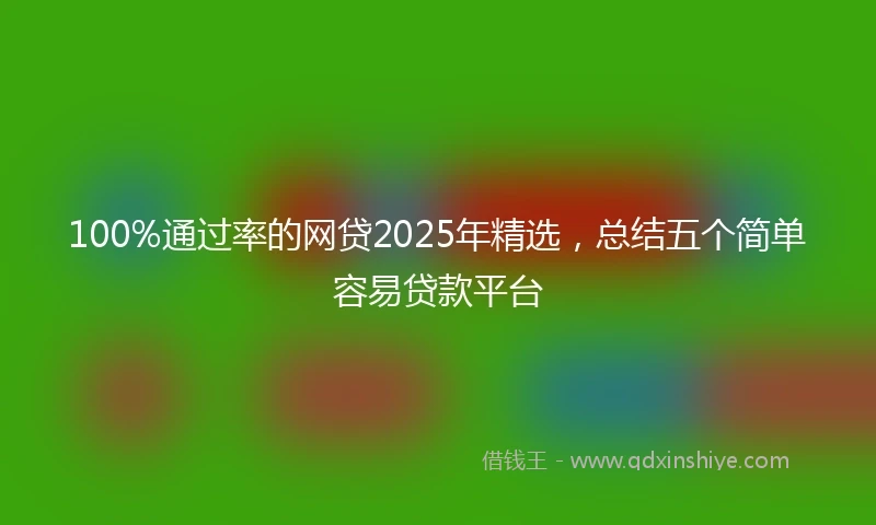 100%通过率的网贷2025年精选，总结五个简单容易贷款平台
