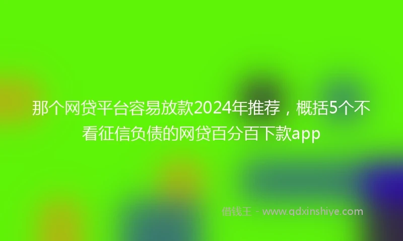 那个网贷平台容易放款2024年推荐，概括5个不看征信负债的网贷百分百下款app