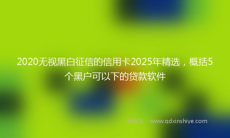2020无视黑白征信的信用卡2025年精选，概括5个黑户可以下的贷款软件