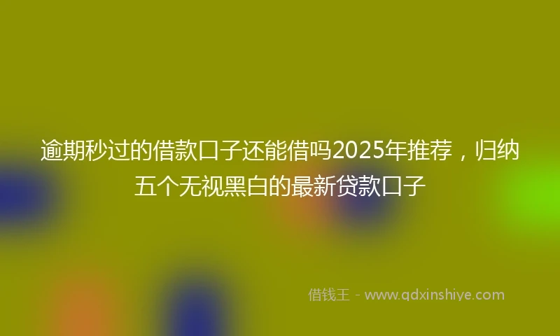 逾期秒过的借款口子还能借吗2025年推荐，归纳五个无视黑白的最新贷款口子