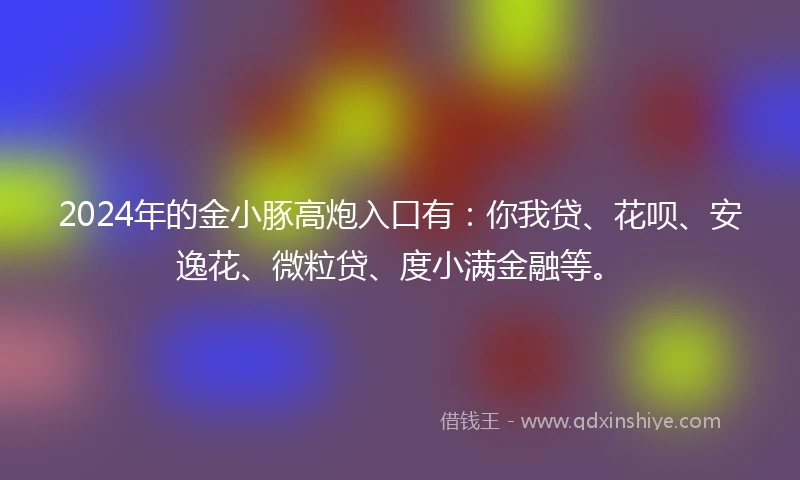 2024年的金小豚高炮入口有：你我贷、花呗、安逸花、微粒贷、度小满金融等。