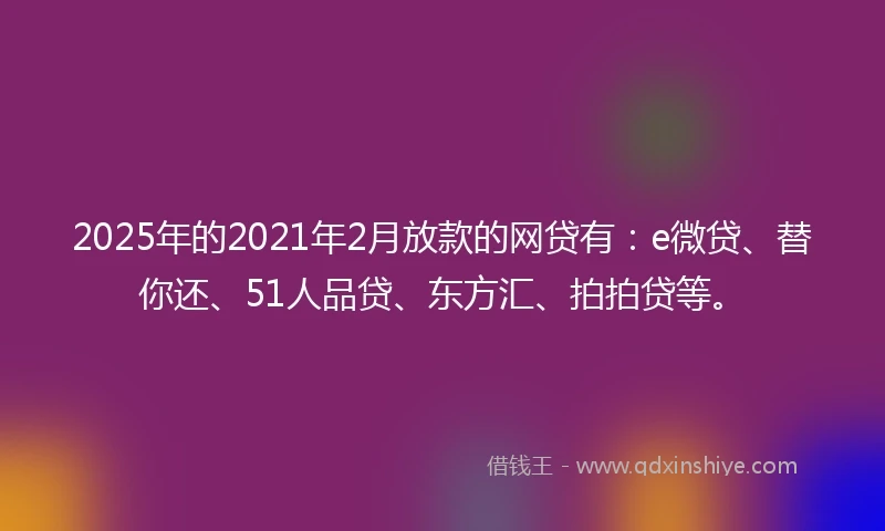 2025年的2021年2月放款的网贷有：e微贷、替你还、51人品贷、东方汇、拍拍贷等。