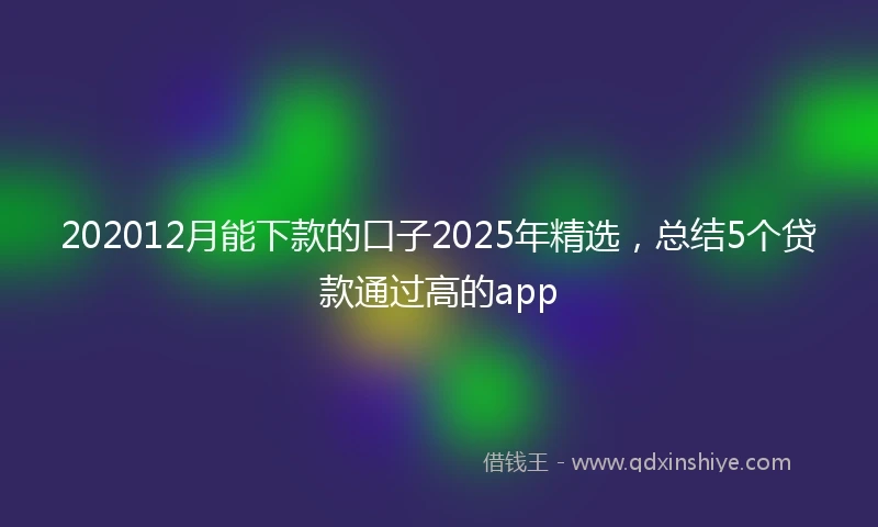 202012月能下款的口子2025年精选，总结5个贷款通过高的app