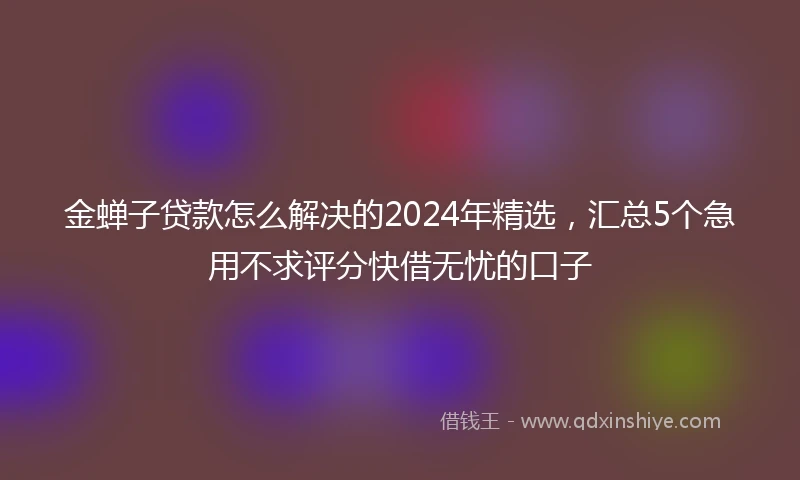 金蝉子贷款怎么解决的2024年精选，汇总5个急用不求评分快借无忧的口子