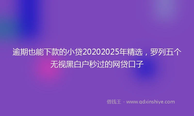 逾期也能下款的小贷20202025年精选，罗列五个无视黑白户秒过的网贷口子