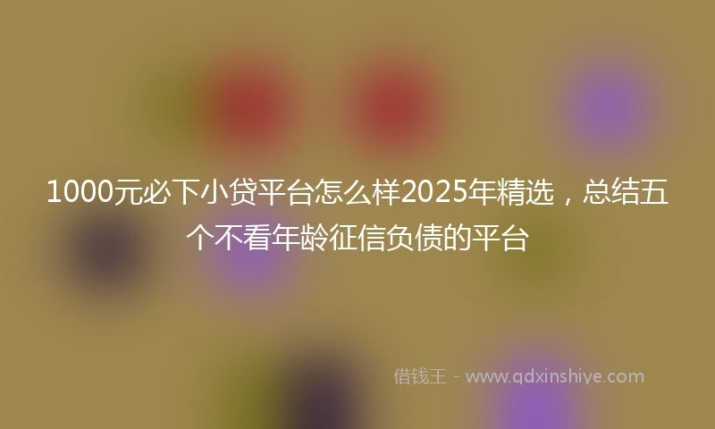1000元必下小贷平台怎么样2025年精选，总结五个不看年龄征信负债的平台