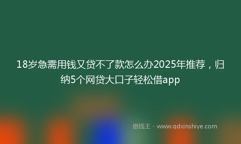 18岁急需用钱又贷不了款怎么办2025年推荐，归纳5个网贷大口子轻松借app