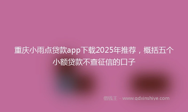 重庆小雨点贷款app下载2025年推荐，概括五个小额贷款不查征信的口子