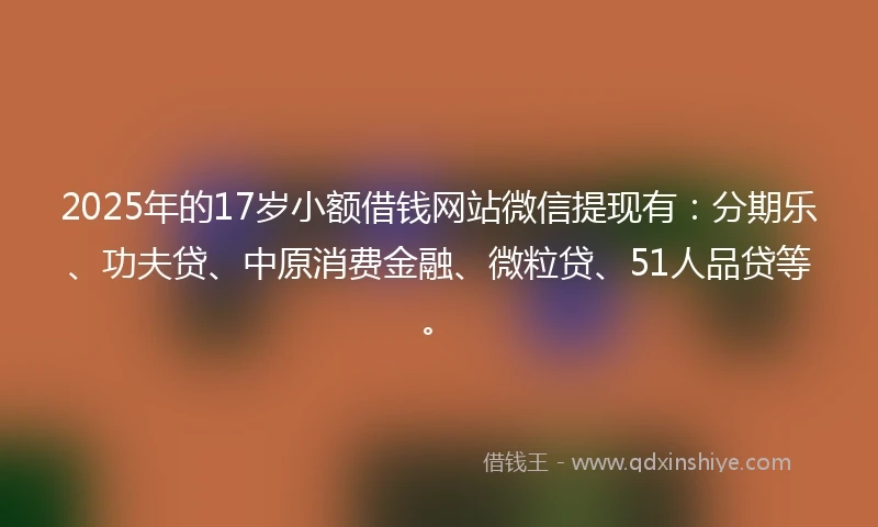2025年的17岁小额借钱网站微信提现有：分期乐、功夫贷、中原消费金融、微粒贷、51人品贷等。