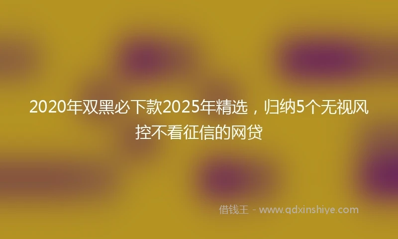 2020年双黑必下款2025年精选，归纳5个无视风控不看征信的网贷