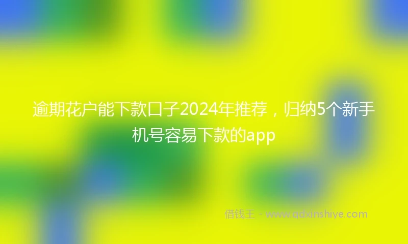 逾期花户能下款口子2024年推荐，归纳5个新手机号容易下款的app
