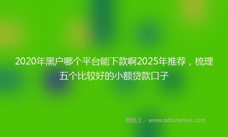 2020年黑户哪个平台能下款啊2025年推荐，梳理五个比较好的小额贷款口子