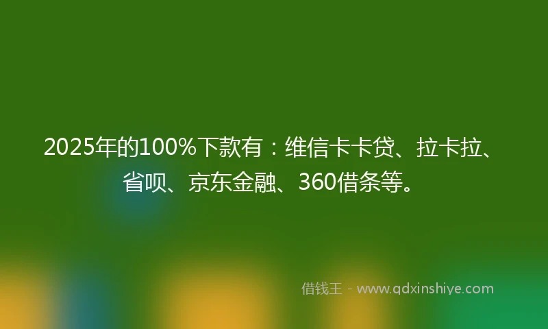 2025年的100%下款有：维信卡卡贷、拉卡拉、省呗、京东金融、360借条等。