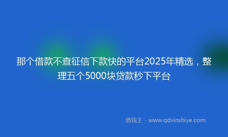 那个借款不查征信下款快的平台2025年精选，整理五个5000块贷款秒下平台
