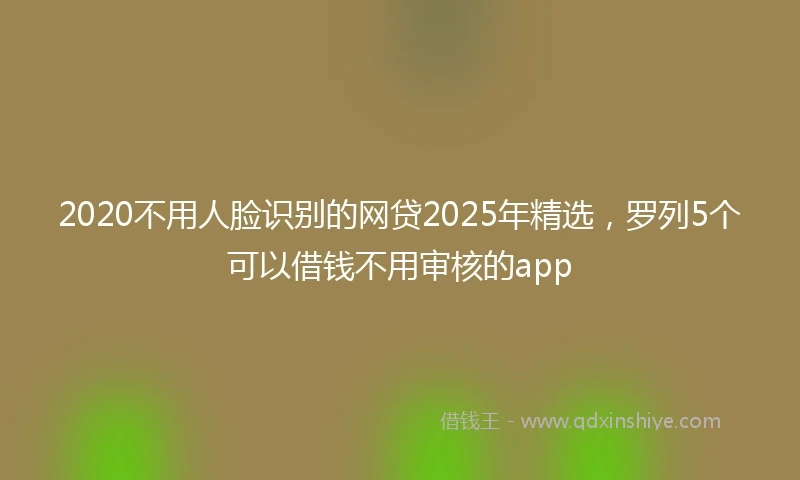 2020不用人脸识别的网贷2025年精选，罗列5个可以借钱不用审核的app