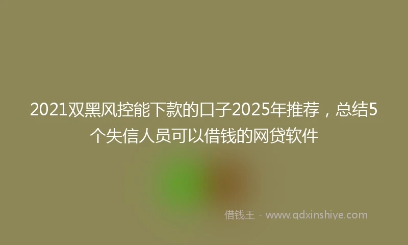 2021双黑风控能下款的口子2025年推荐，总结5个失信人员可以借钱的网贷软件