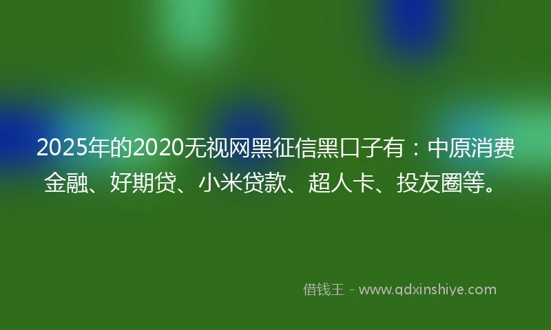 2025年的2020无视网黑征信黑口子有：中原消费金融、好期贷、小米贷款、超人卡、投友圈等。