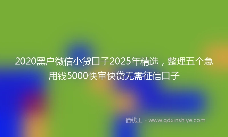 2020黑户微信小贷口子2025年精选，整理五个急用钱5000快审快贷无需征信口子