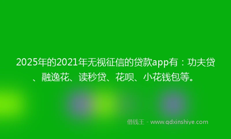 2025年的2021年无视征信的贷款app有：功夫贷、融逸花、读秒贷、花呗、小花钱包等。