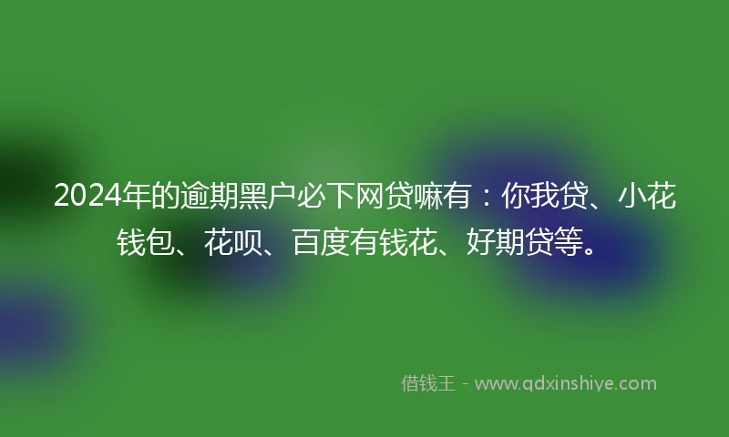 2024年的逾期黑户必下网贷嘛有：你我贷、小花钱包、花呗、百度有钱花、好期贷等。