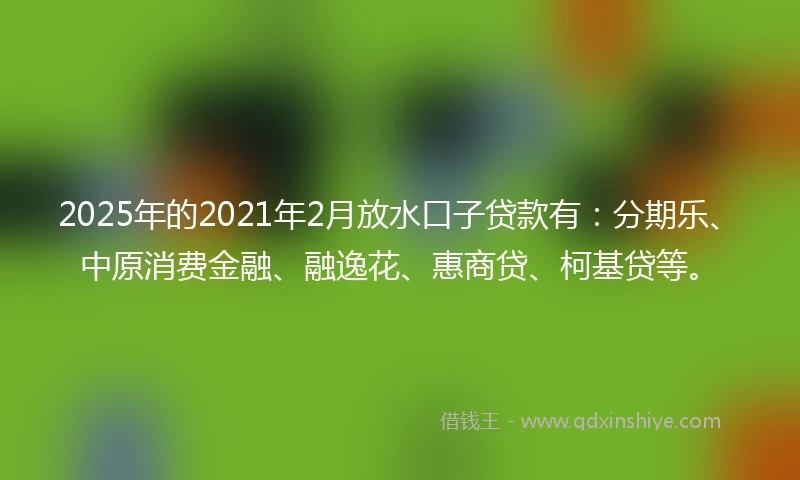 2025年的2021年2月放水口子贷款有：分期乐、中原消费金融、融逸花、惠商贷、柯基贷等。
