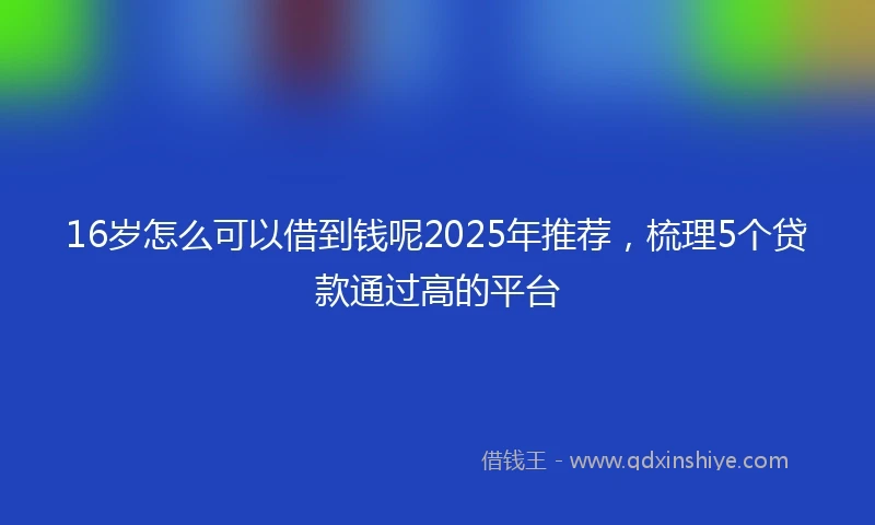 16岁怎么可以借到钱呢2025年推荐，梳理5个贷款通过高的平台
