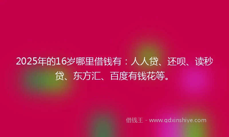2025年的16岁哪里借钱有：人人贷、还呗、读秒贷、东方汇、百度有钱花等。