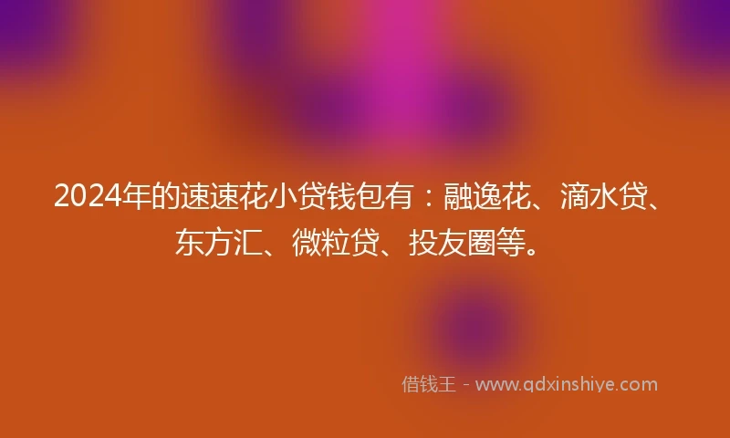 2024年的速速花小贷钱包有：融逸花、滴水贷、东方汇、微粒贷、投友圈等。