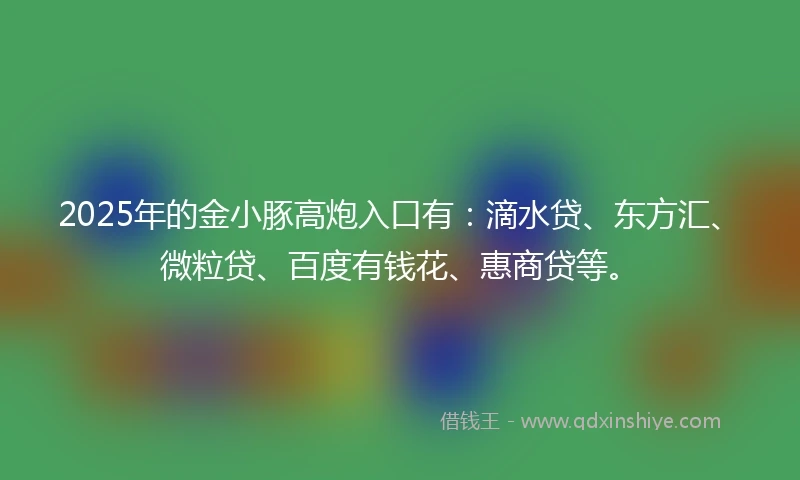2025年的金小豚高炮入口有：滴水贷、东方汇、微粒贷、百度有钱花、惠商贷等。
