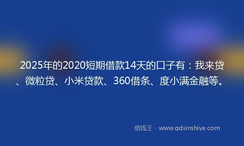 2025年的2020短期借款14天的口子有：我来贷、微粒贷、小米贷款、360借条、度小满金融等。