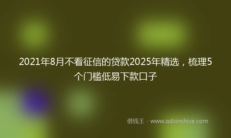 2021年8月不看征信的贷款2025年精选，梳理5个门槛低易下款口子