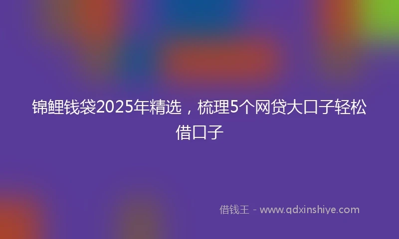 锦鲤钱袋2025年精选，梳理5个网贷大口子轻松借口子