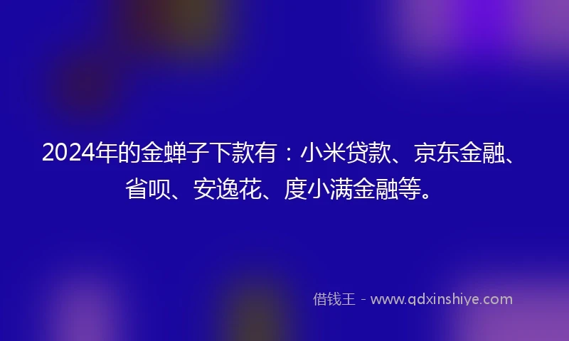 2024年的金蝉子下款有：小米贷款、京东金融、省呗、安逸花、度小满金融等。