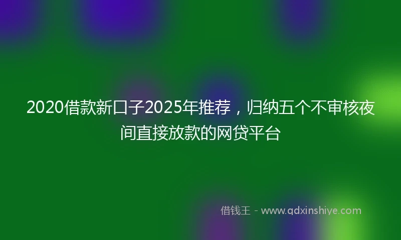 2020借款新口子2025年推荐，归纳五个不审核夜间直接放款的网贷平台