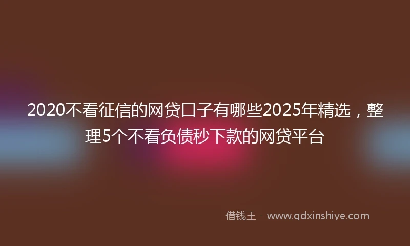 2020不看征信的网贷口子有哪些2025年精选，整理5个不看负债秒下款的网贷平台