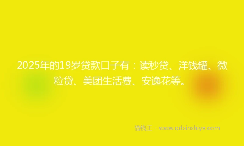 2025年的19岁贷款口子有：读秒贷、洋钱罐、微粒贷、美团生活费、安逸花等。